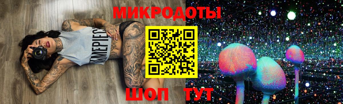 Псилоцибиновые грибы Psilocybine cubensis Алексин