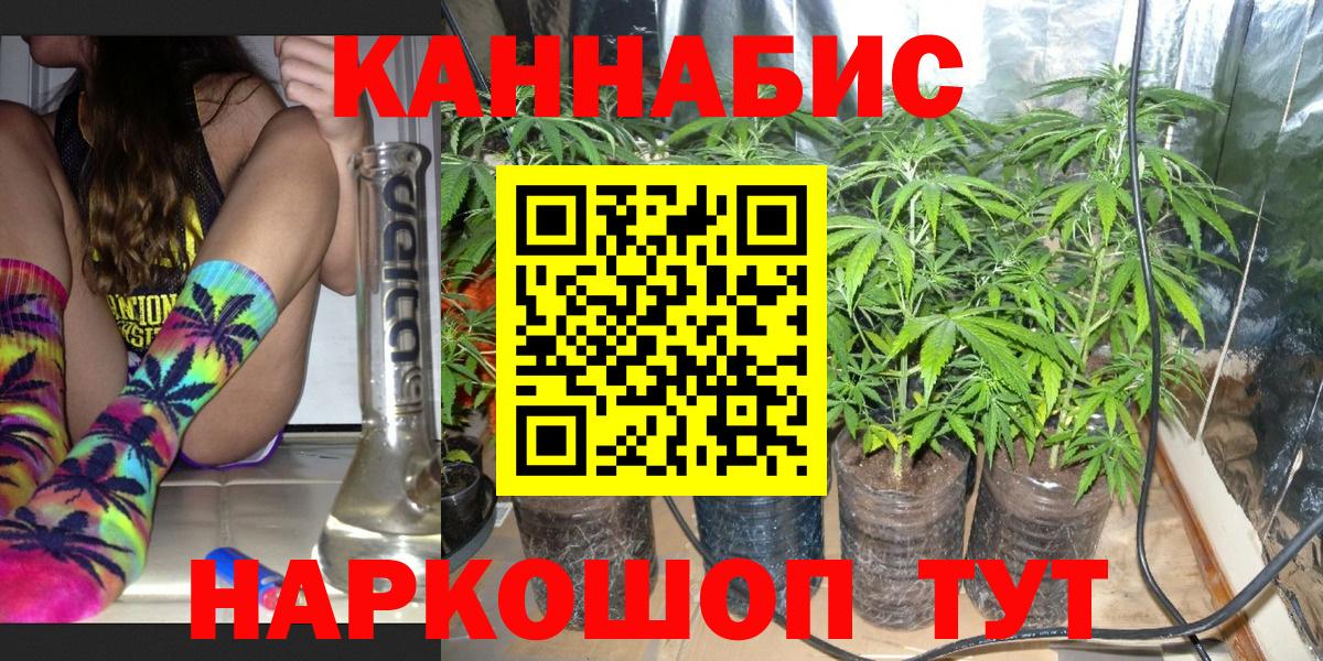Алексин  Бошки марихуана план  Бошки марихуана OG Kush  Вход с VPN  Конопля план 